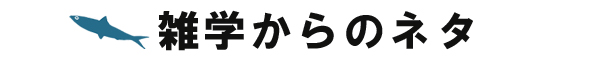 雑学ネタ